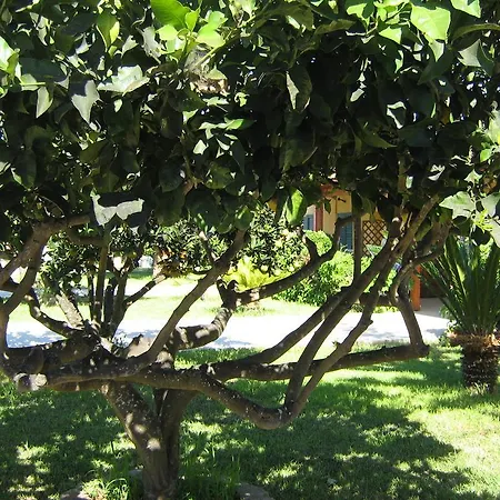 Tenuta Paifer Bauernhof Otranto