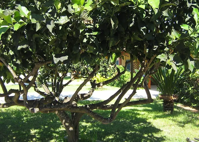 Tenuta Paifer Farm stay Otranto